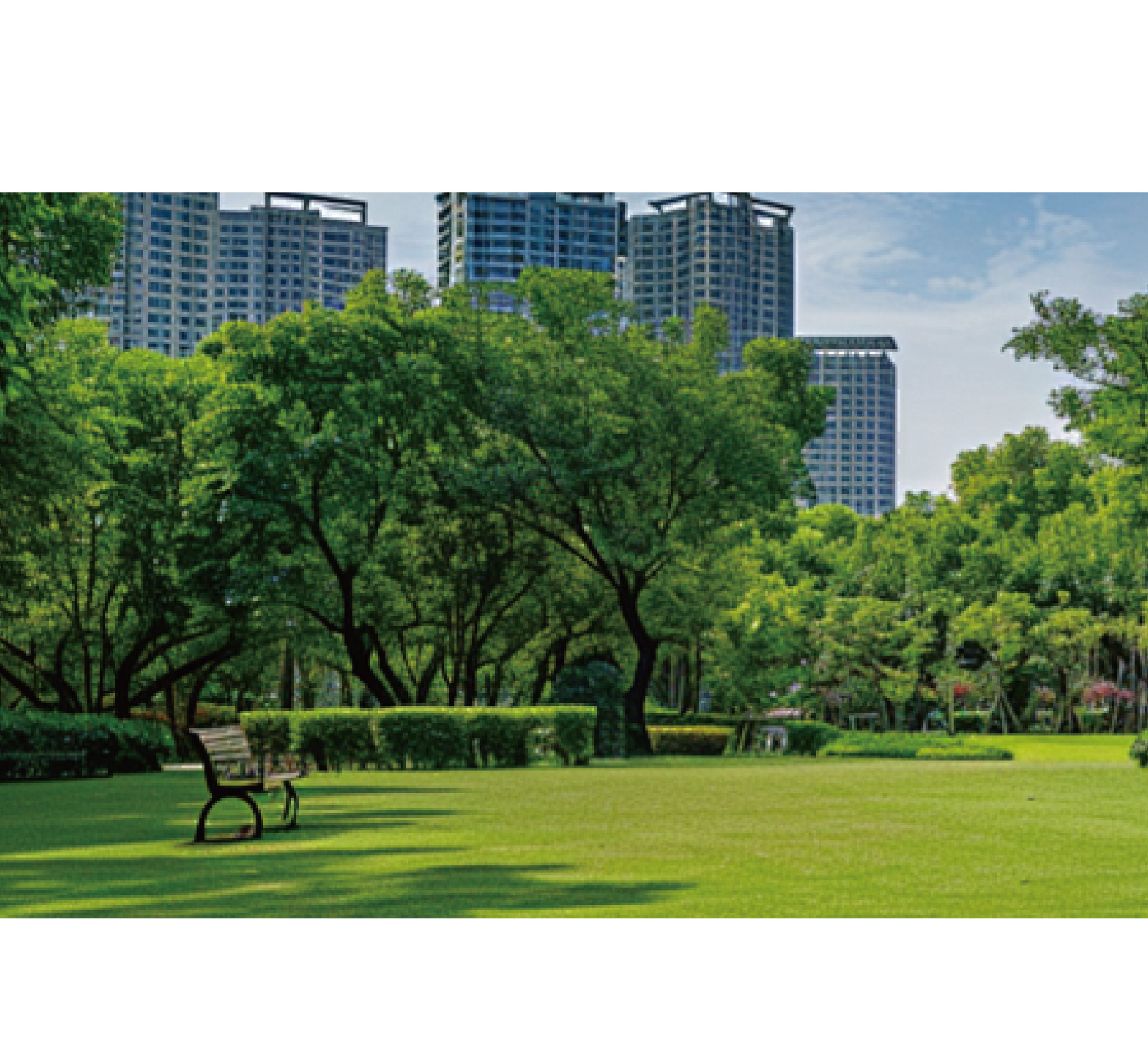 市政、维修、园林等分散工程